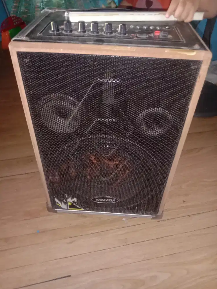 Speaker 2 unit (aktif semua)