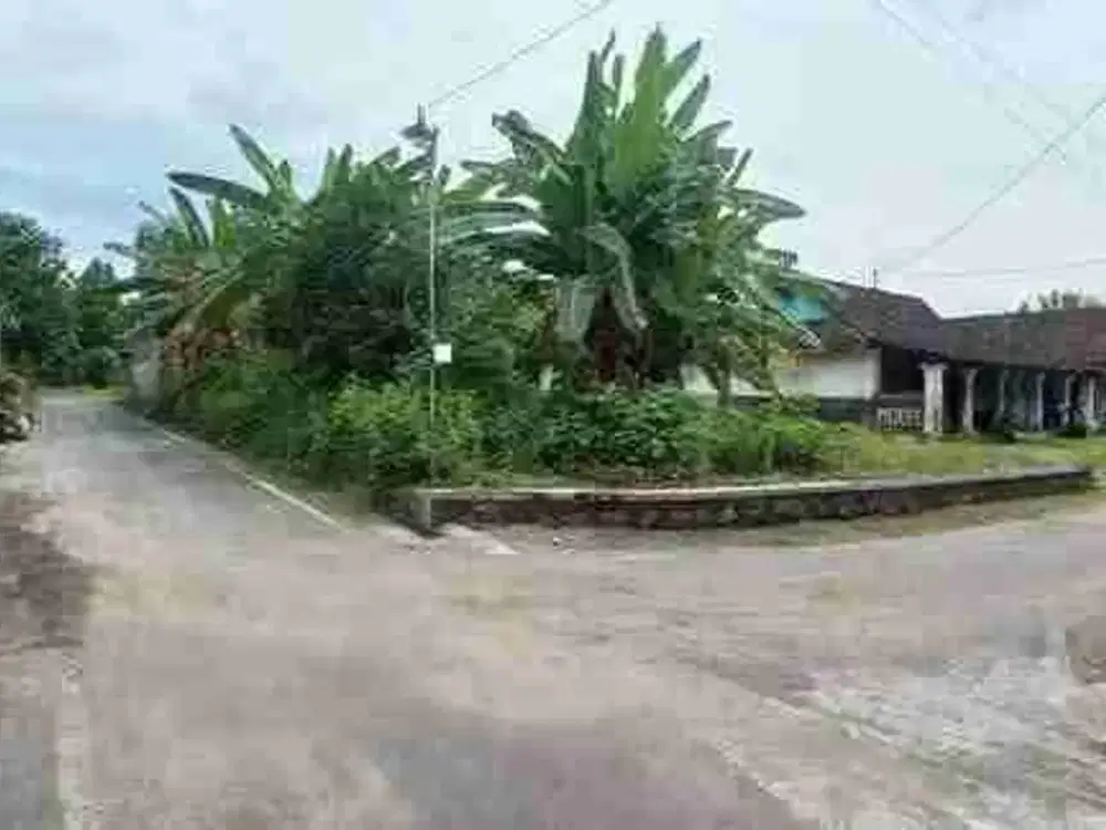 Dijual pekarangan hook murah di bangak banyudonoboyolali