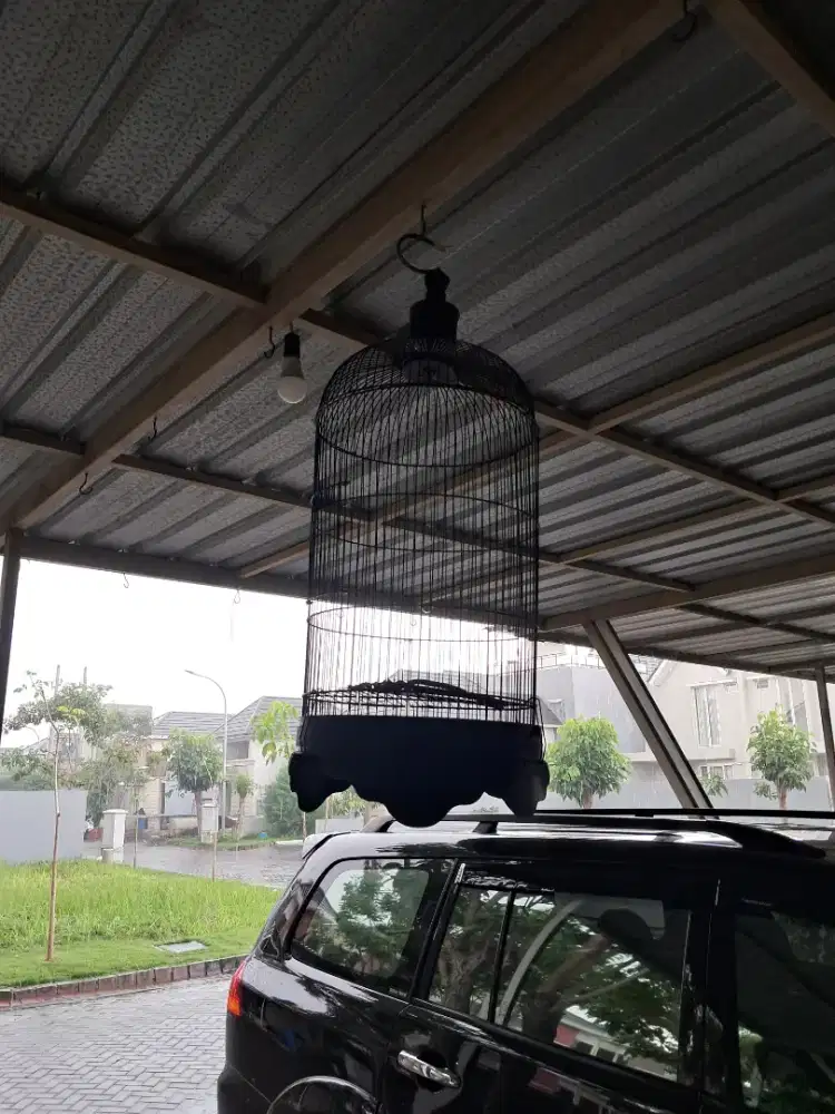 Kandang burung bekas
