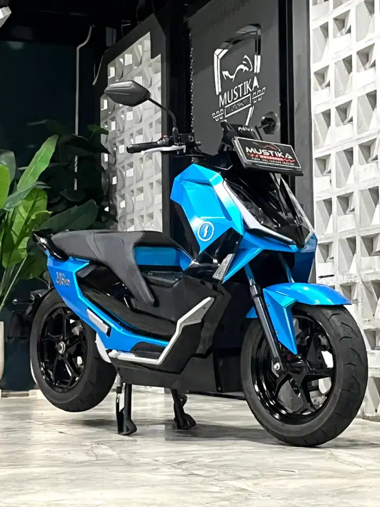 ALVA CERVO 2023 - Chintia Mustika