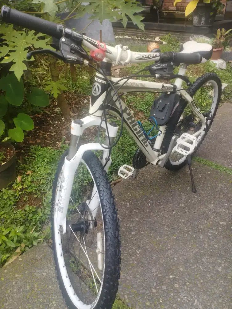Sepeda Pacific XSB 10 Shimano 8 track