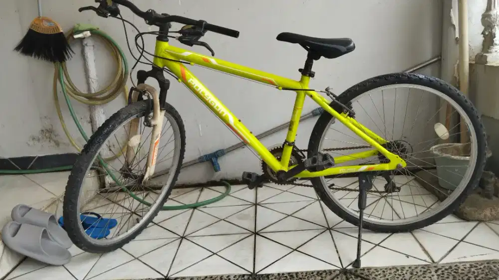 Sepeda Poligon Warna Hijau