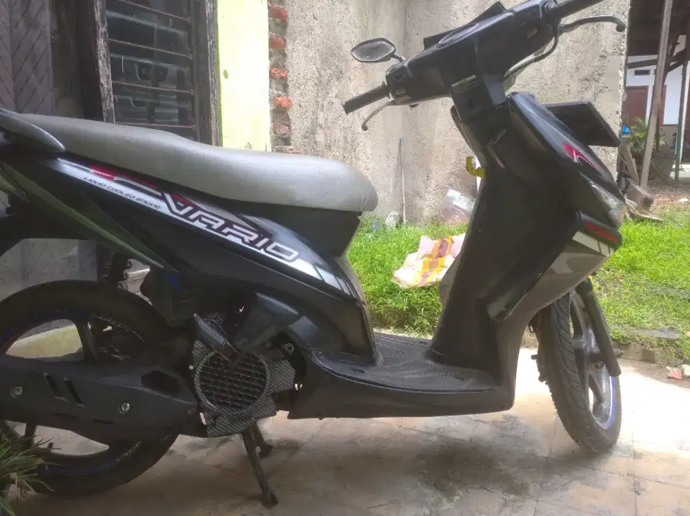 vario 110 karbu