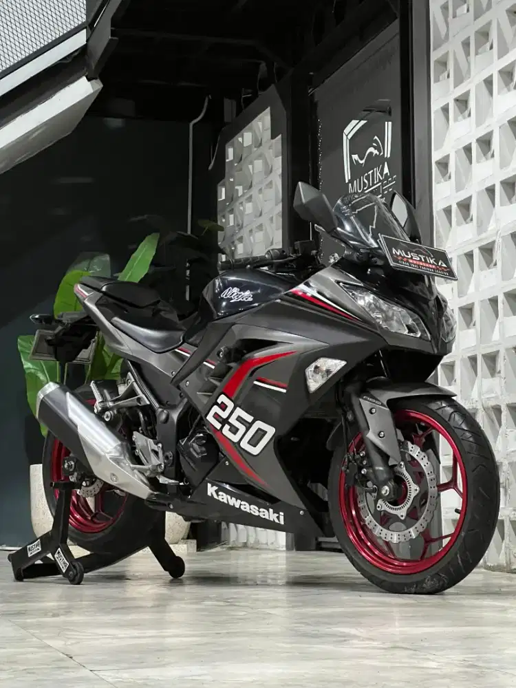 KAWASAKI NINJA 250 FI ABS 2016 - Chintia Mustika