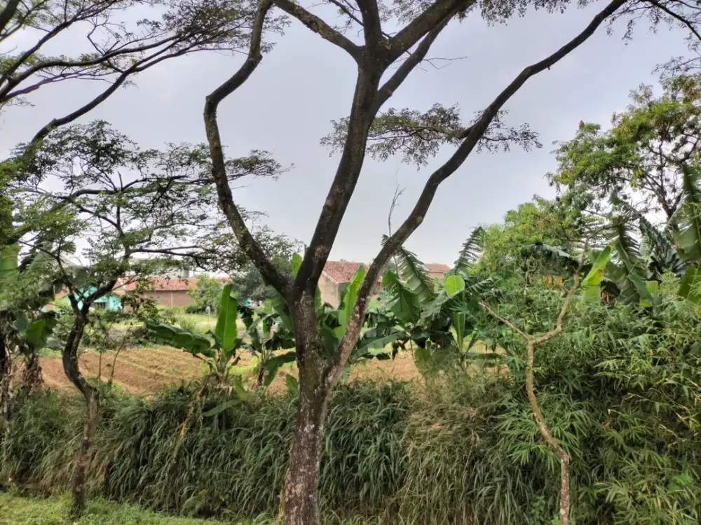 JUAL TANAH CIODENG, KEC. BALE ENDAH BOJONG MALAKA KAB. BANDUNG