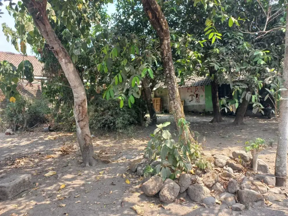 DIJUAL TANAH KAVLING MURAH DEKAT RS PANTI RINI KALASAN