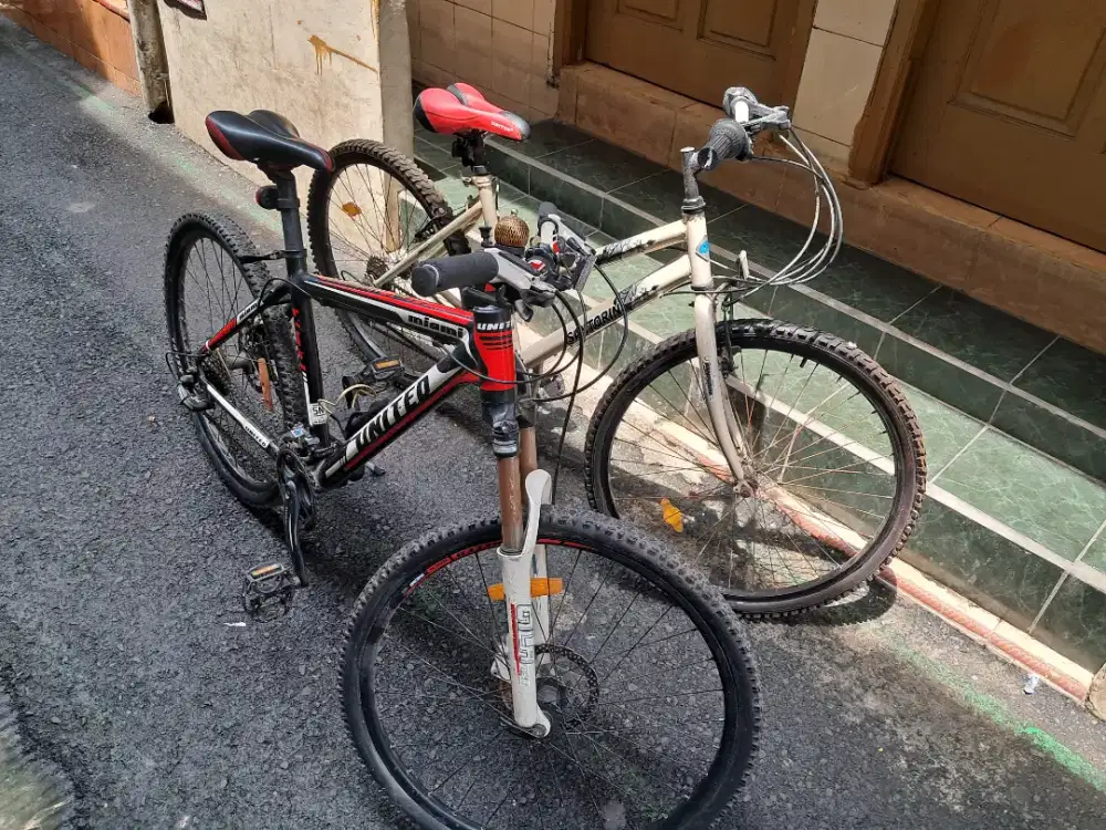 ForSale Genio Santorini MTB Bike