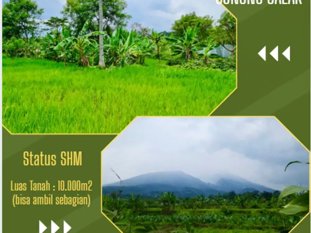 DIJUAL MURAH TANAH DENGAN PEMANDANGAN GUNUNG SALAK UNTUK VILLA ATAU USAHA