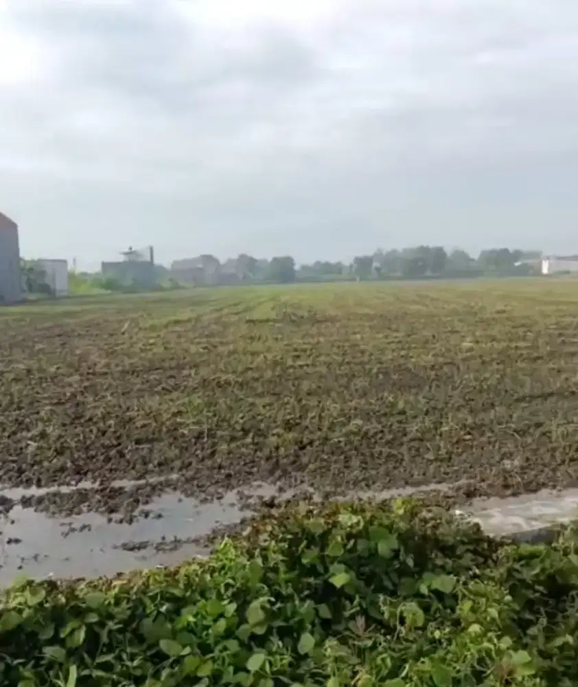 Jual Murah Kavling harga 1 JT/M² Sukodono Sidoarjo,Dkt SDN,Polsek