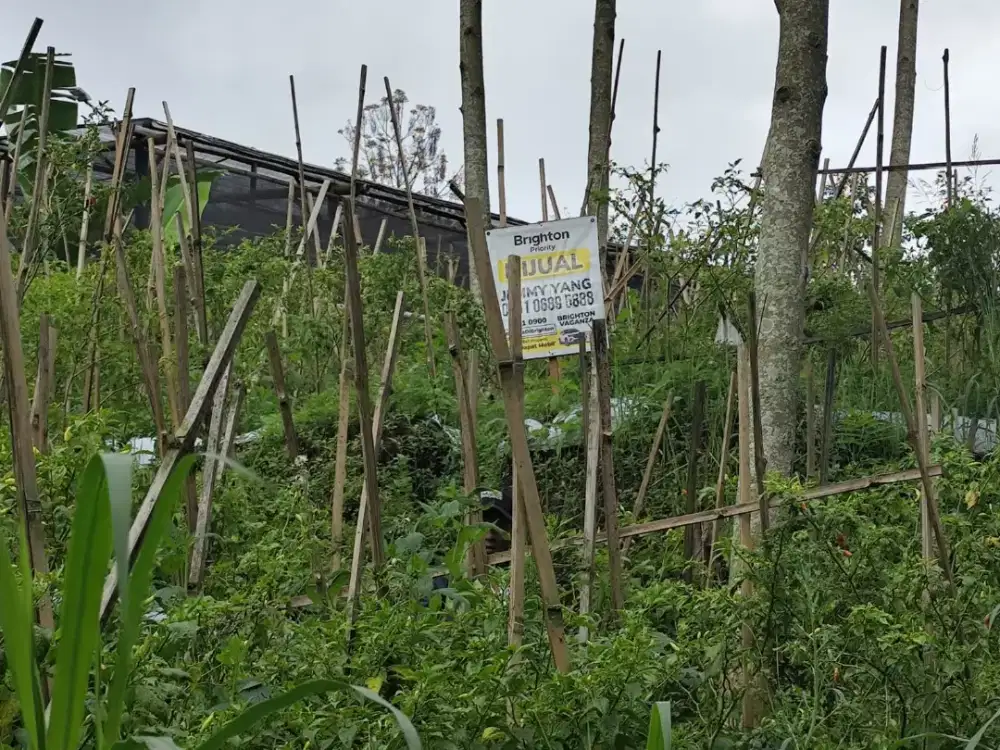 Jual Tanah Raya Sumbergondo Batu