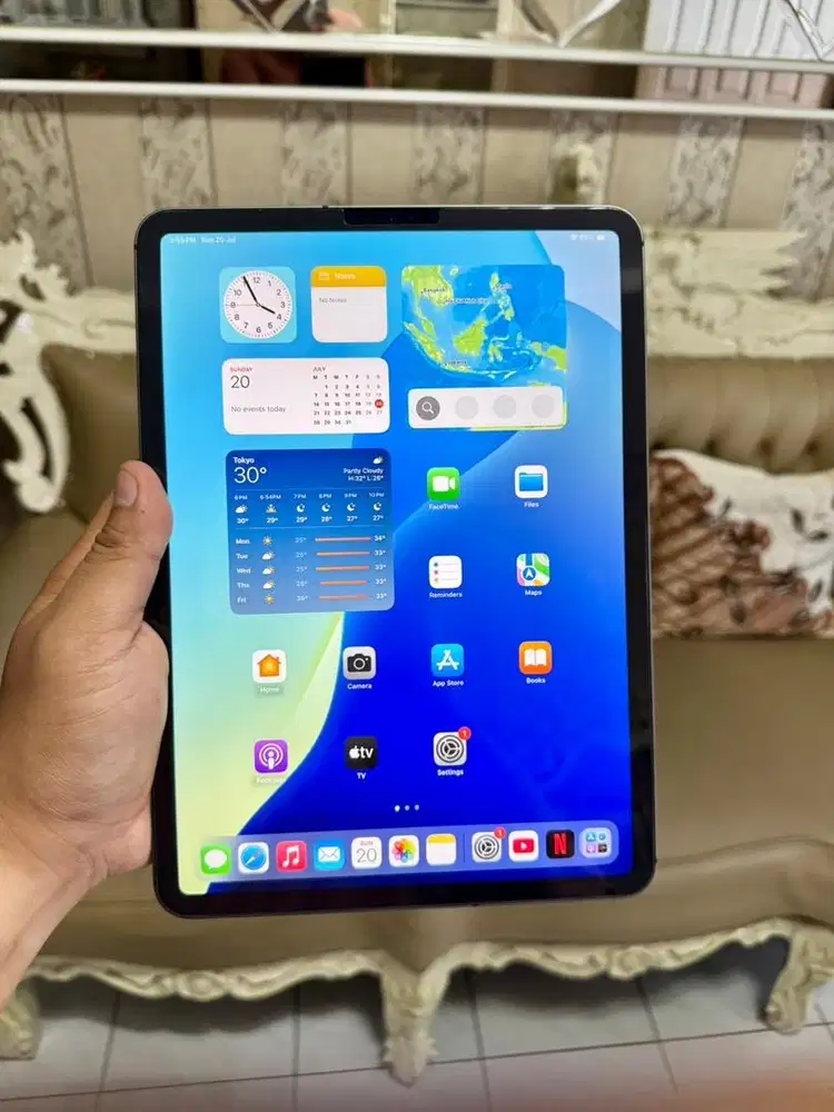 Ipad pro 11 256gb mulus no minus