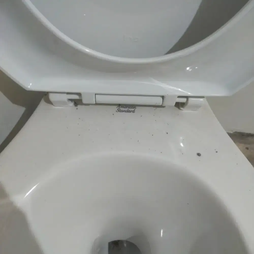 Closet duduk American standard siraman manual