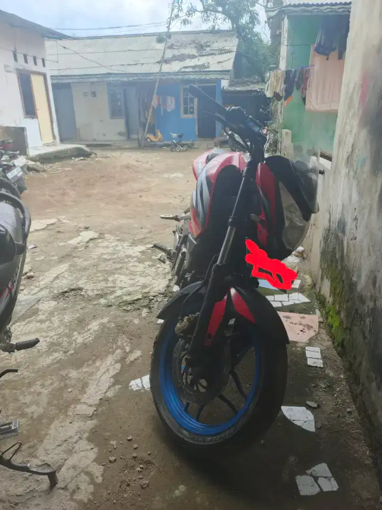 Kawasaki pulsar 200ns