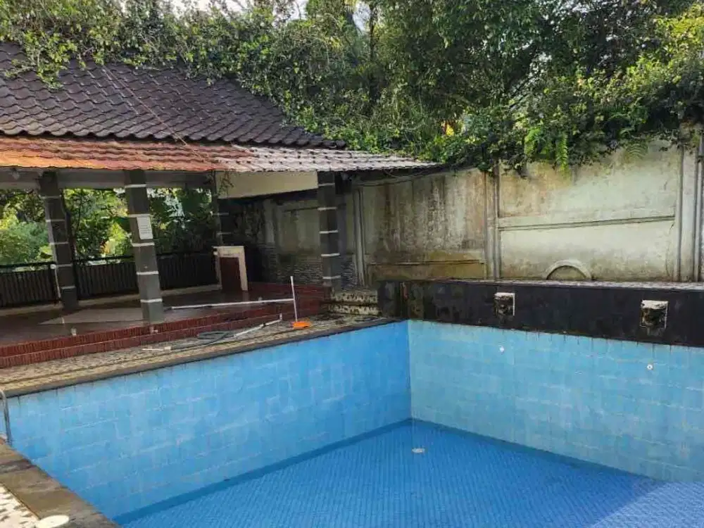 vila. luas. di. Bogor Ciapus.   ada. pohon. duren.  dingin.  anti. macet.  lingkungan. vila2.    imb. shm.  pool.  hrg. bgs