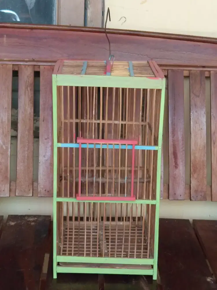 Kandang burung buat pleci