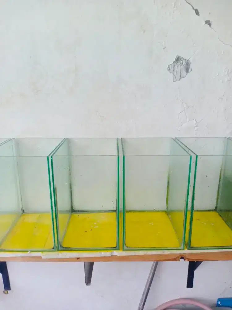 akuarium bekas,10rb murmer