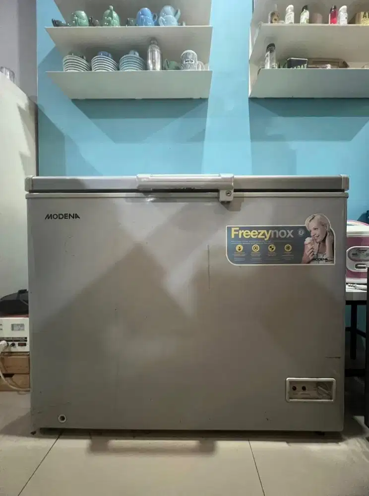 Modena Freezer murmer