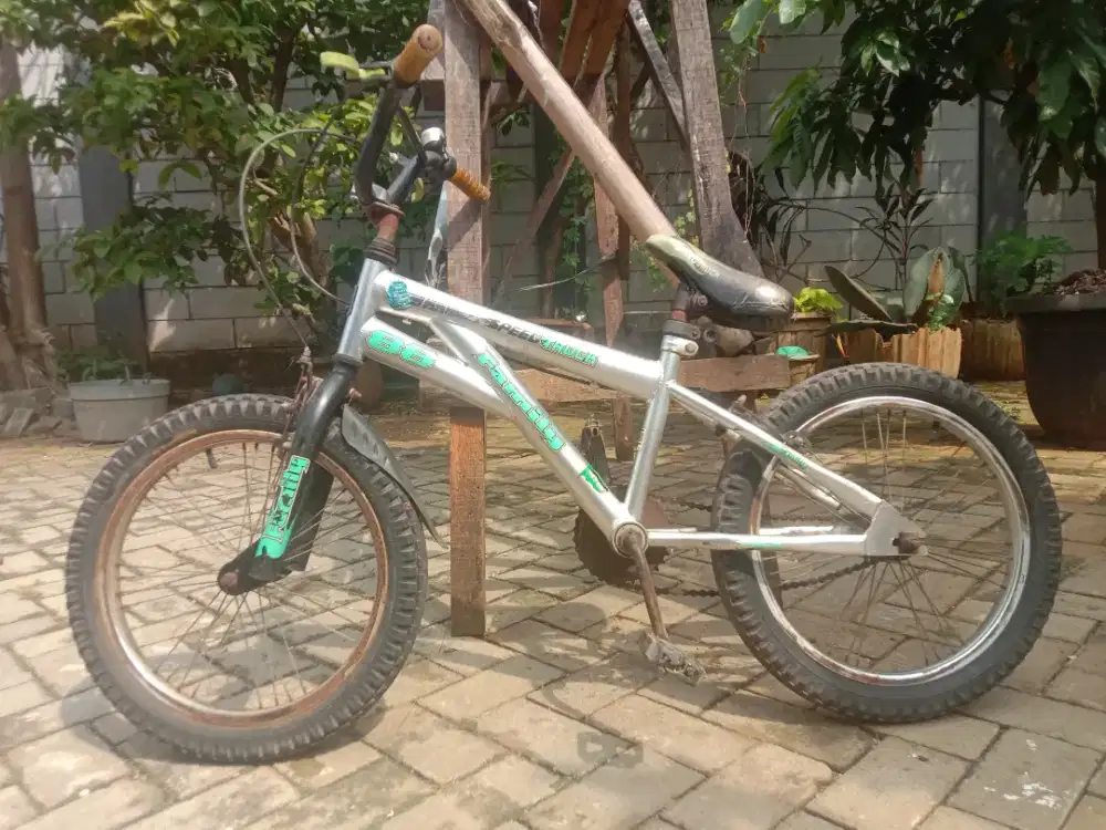 Family. - Sepeda Anak BMX