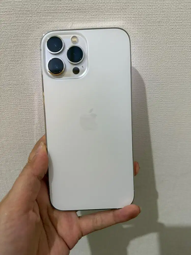 Iphone 13 Pro Max 256 Gb