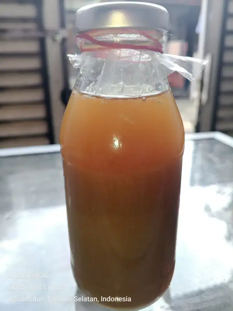 Di Jual Minyak Biawak