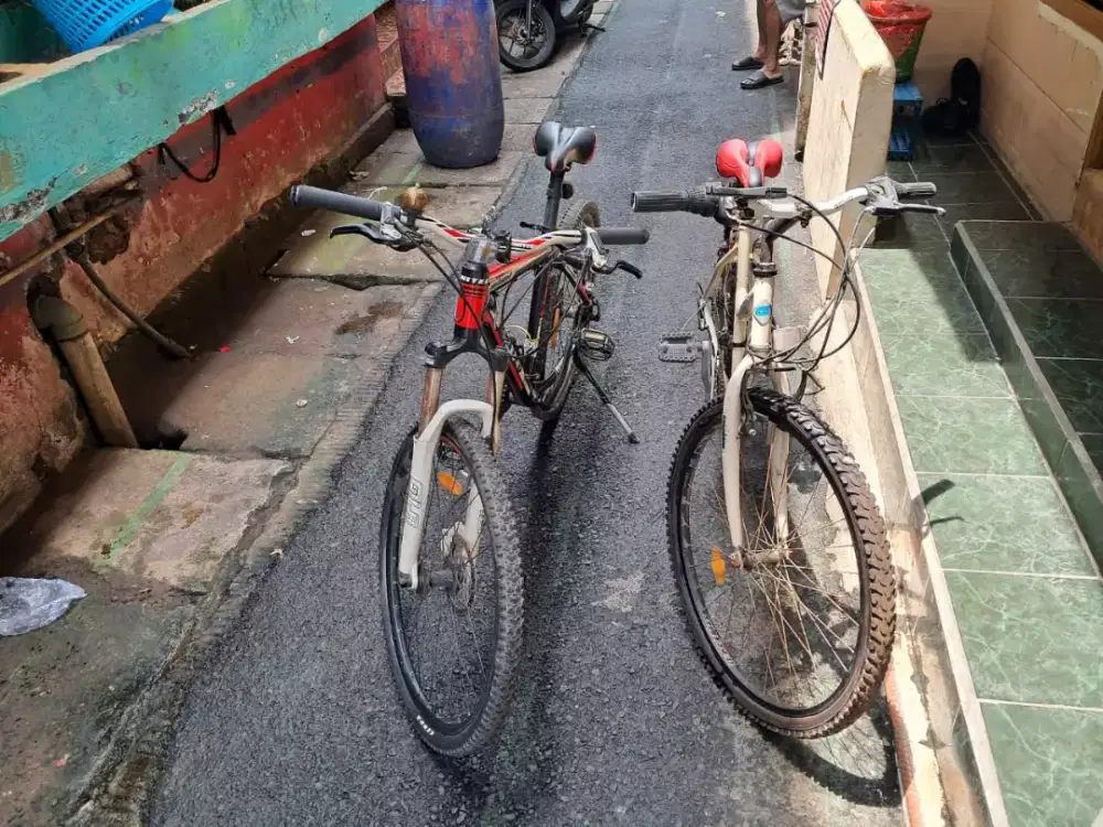 ForSale MTB Bike UNITED&GENIO SANTORINI