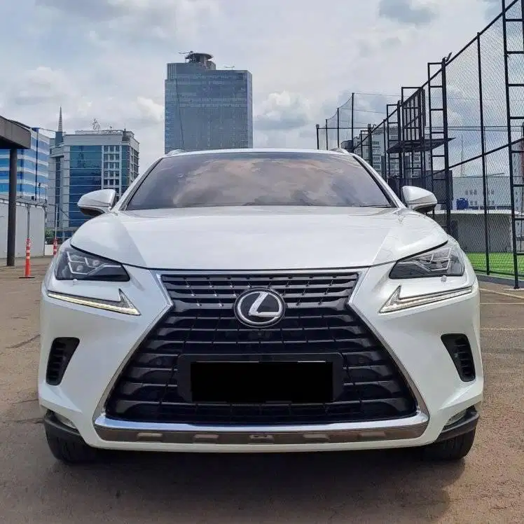 LEXUS NX300 LUXURY NIK 2018