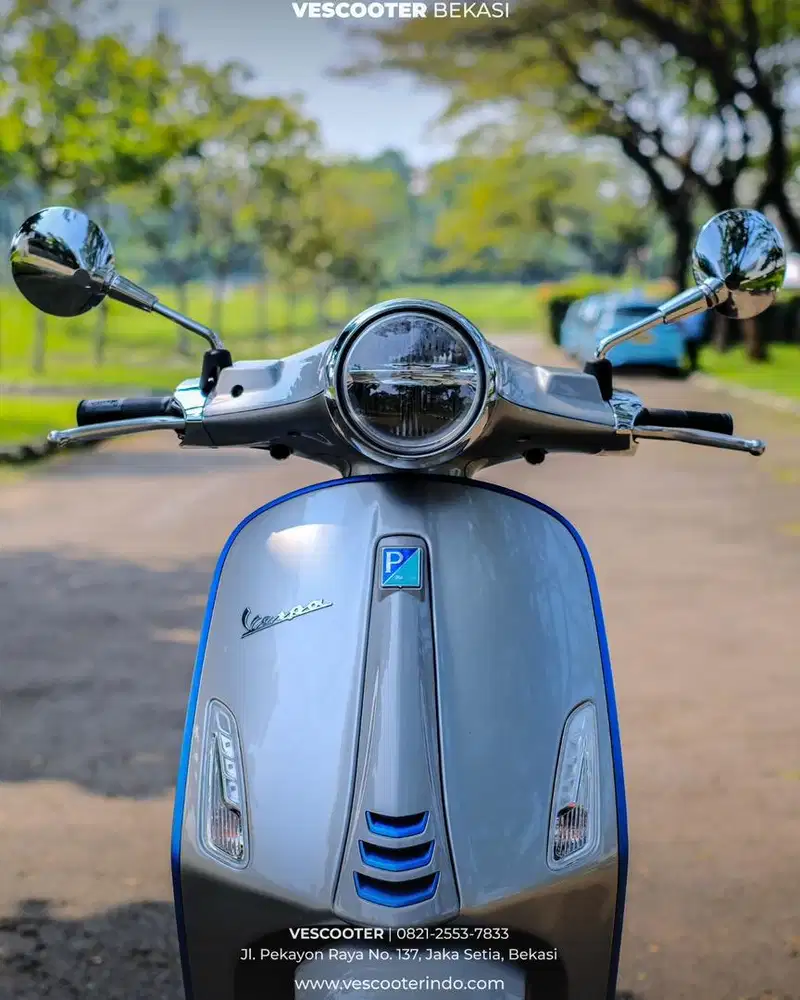 VESPA ELECTRICA LIMITED 2023
