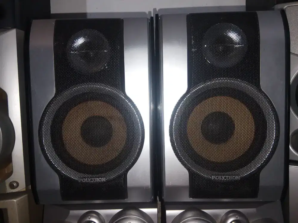 Big Power Polytron XCel Speaker 80 watts RMS/3500 watts pmpo, full ori