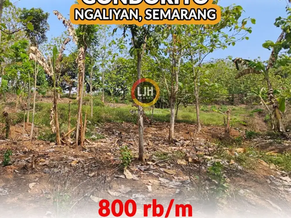 Tanah Siap Bangun di Ngaliyan Semarang