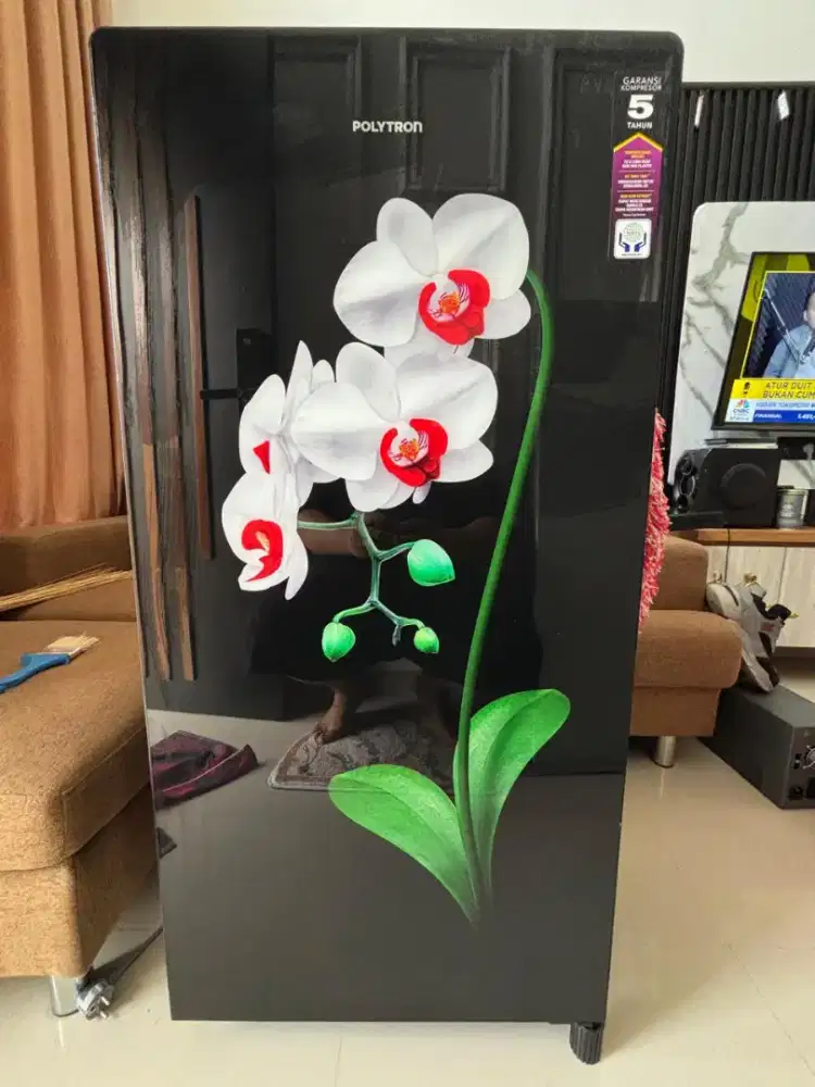 Kulkas Polytron 1 pintu