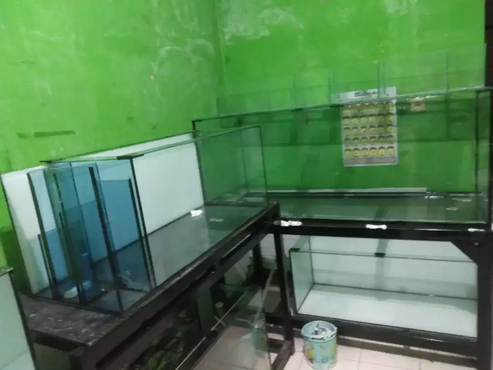 Terima pesan aquarium