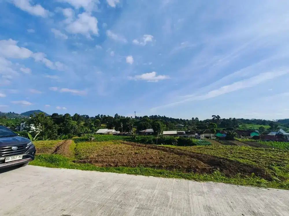 Tanah kemuning karanganyar