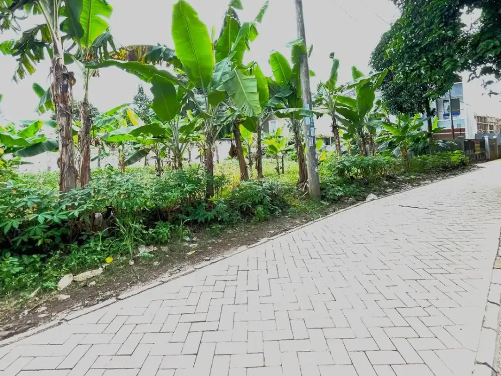 Tanah Murah di Ciater Serpong Dekat BSD