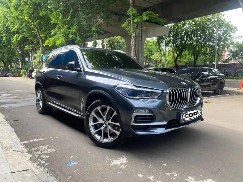 Bmw X5 Xdrive 2019 ( X 5  )