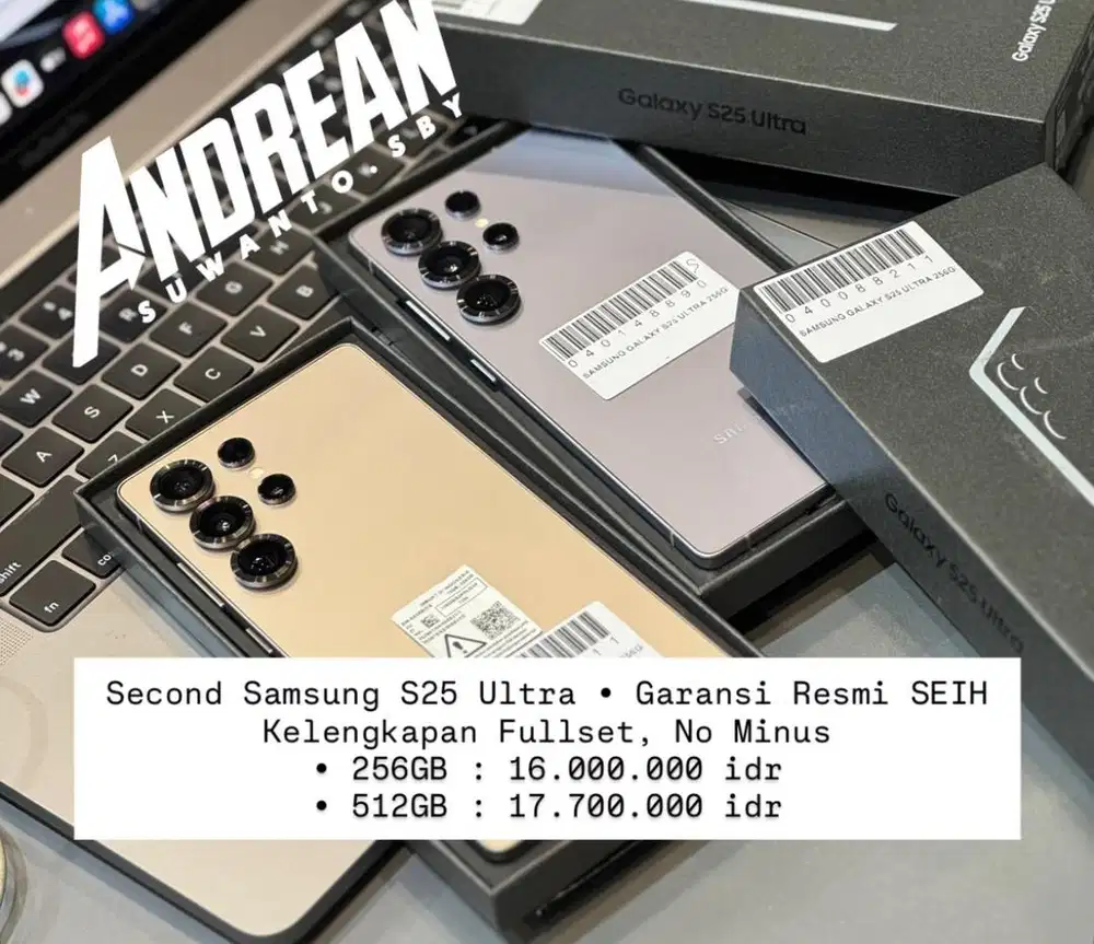 Second Samsung S25 Ultra Sein