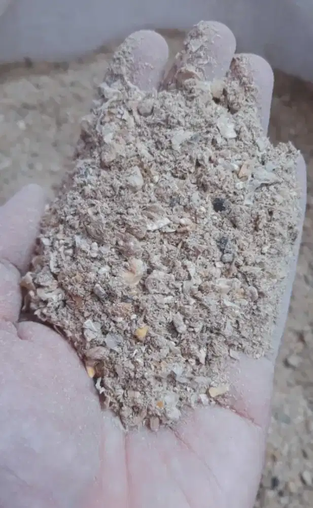 Dedak mix, pakan alternatif campuran untuk unggas