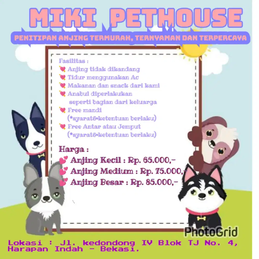 PENITIPAN ANJING TERMURAH DI BEKASI JAKARTA