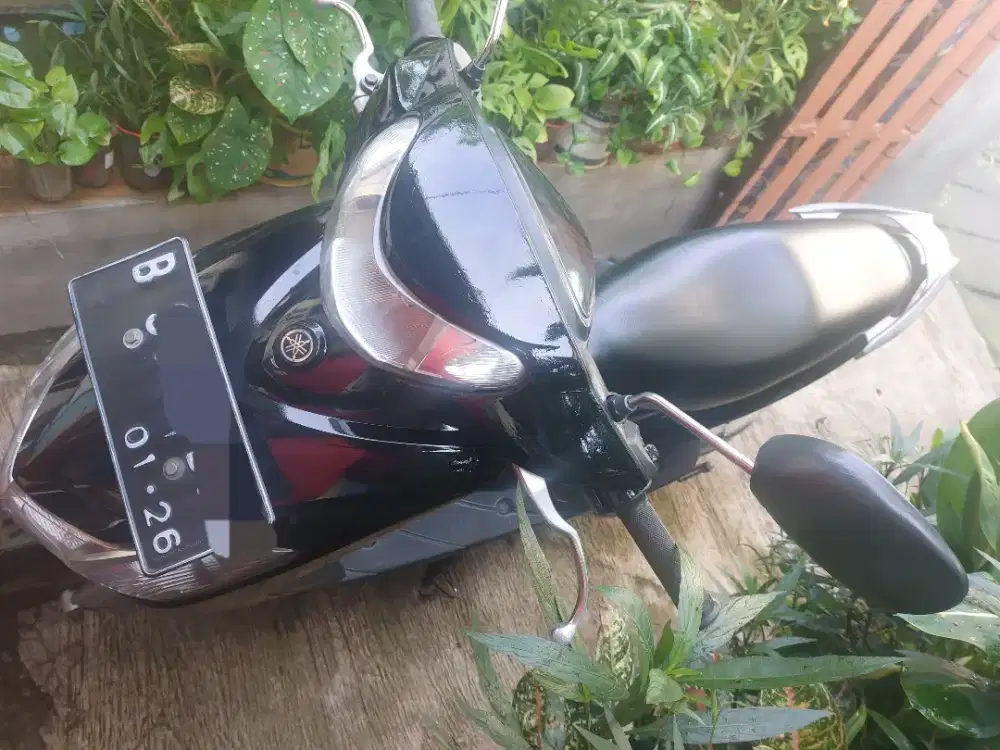 Mio Smile 2011, Pajak Hidup