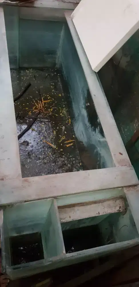 Aquarium 150cm x 70cm x 45cm