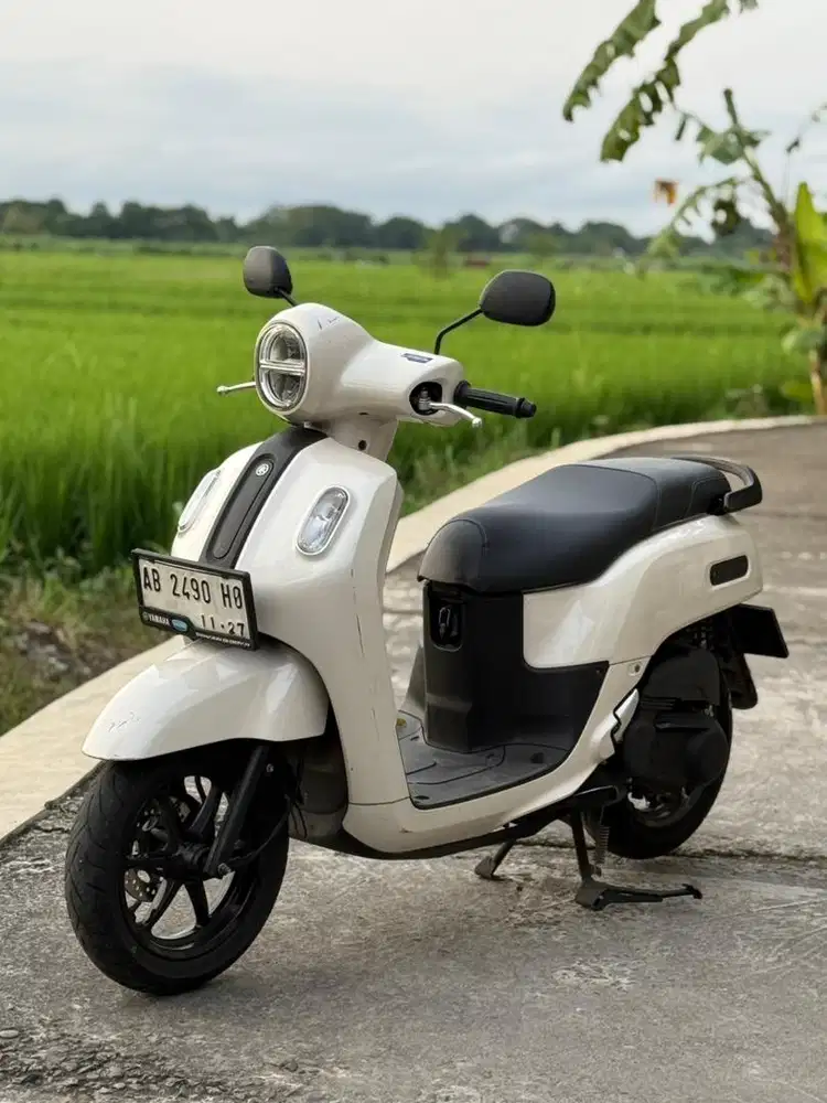 Fazio 2022 plat ab pajak on