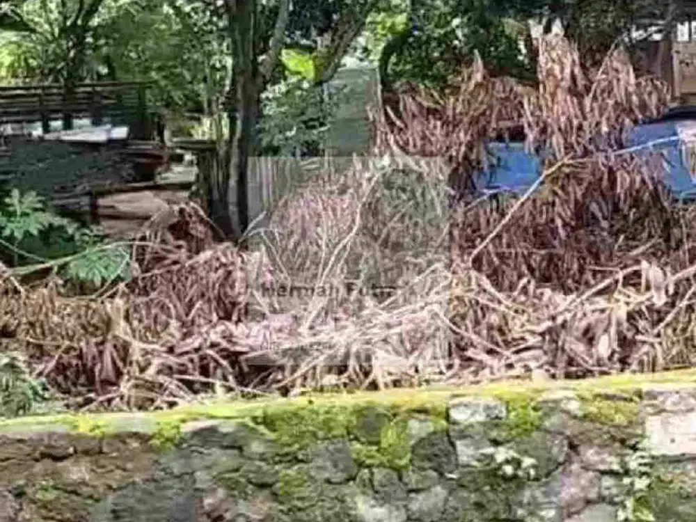Tanah Tembalang Bulusan Undip