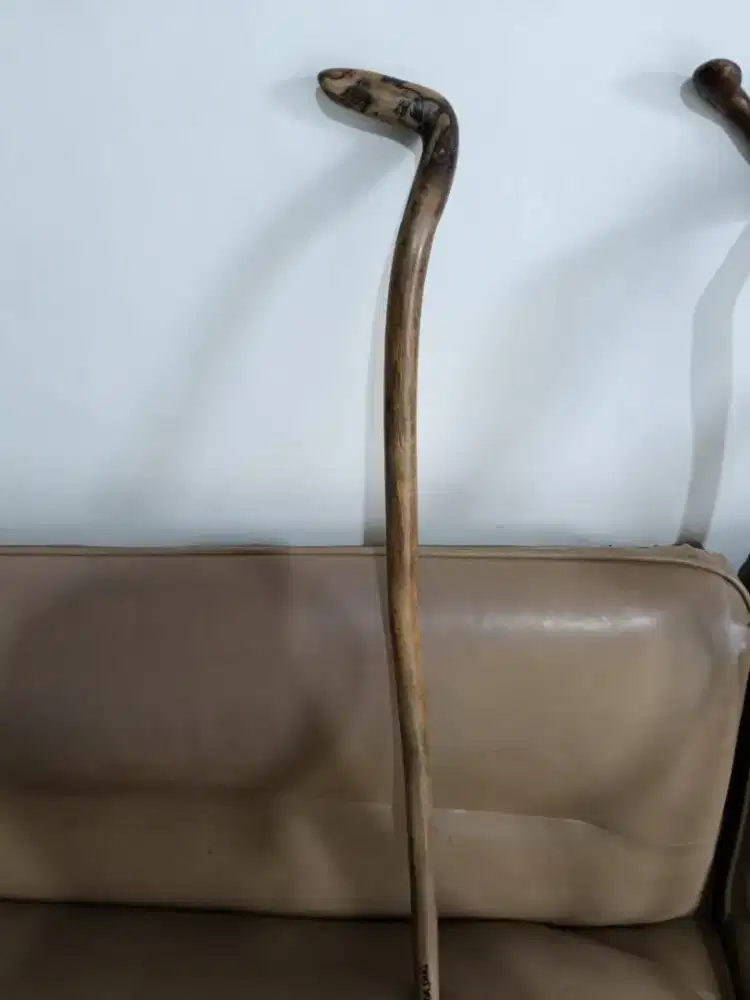 Tongkat Jalan Alami kayu tuah