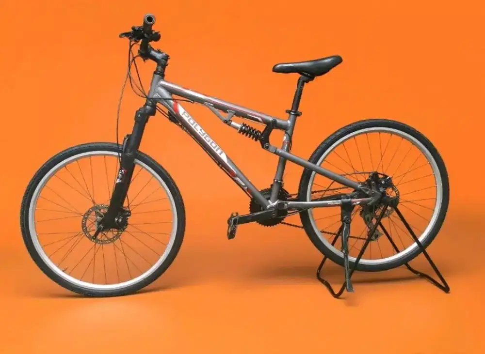 Poligon RAYZ-2 26 Alloy Sepeda Santai MTB Gunung