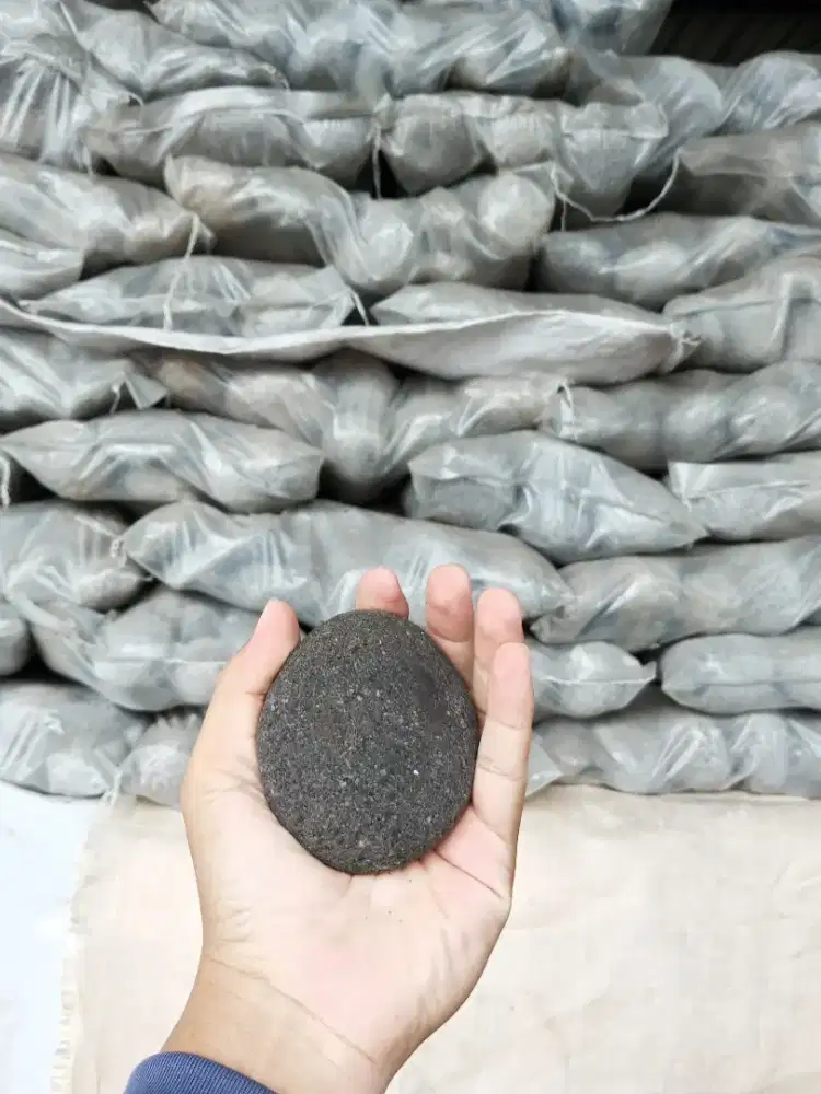 Batu taman telor hitam