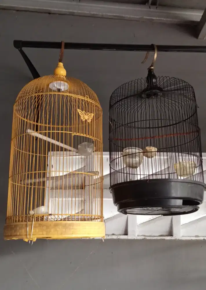 Kandang burung kecil