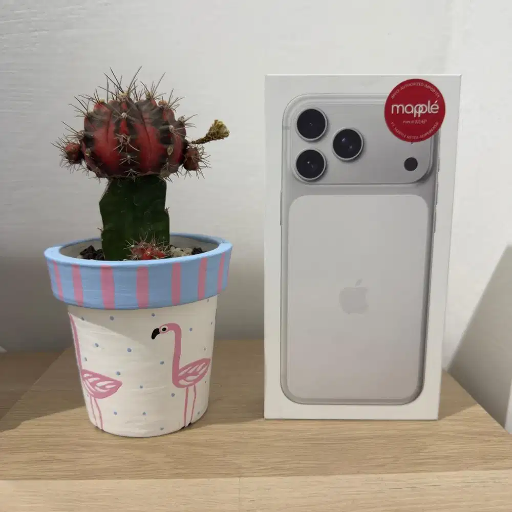 IPHONE 17 PRO MAX 256 SILVER