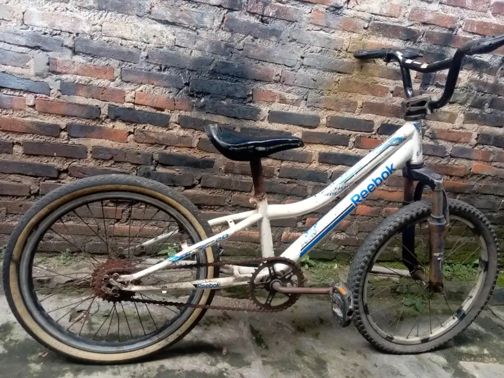 Sepeda Anak Uk Ban 20 Reebok.