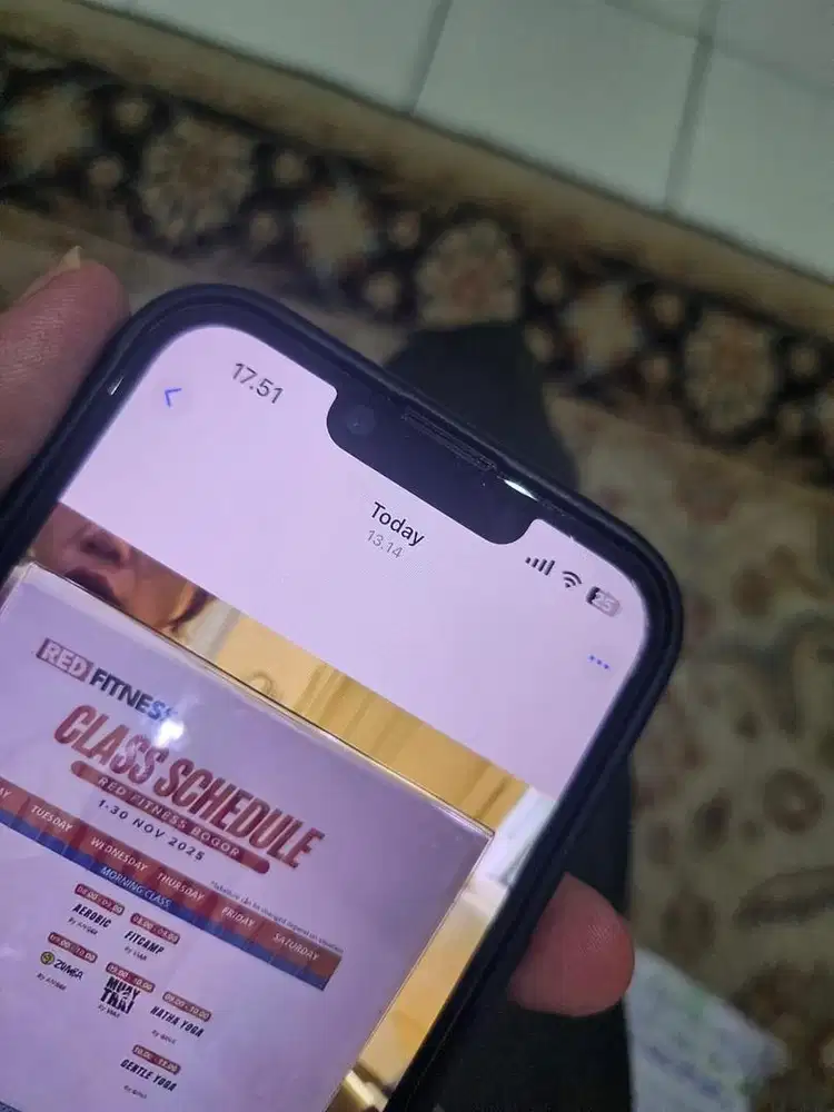 Iphone 13 ex ibox 128 GB