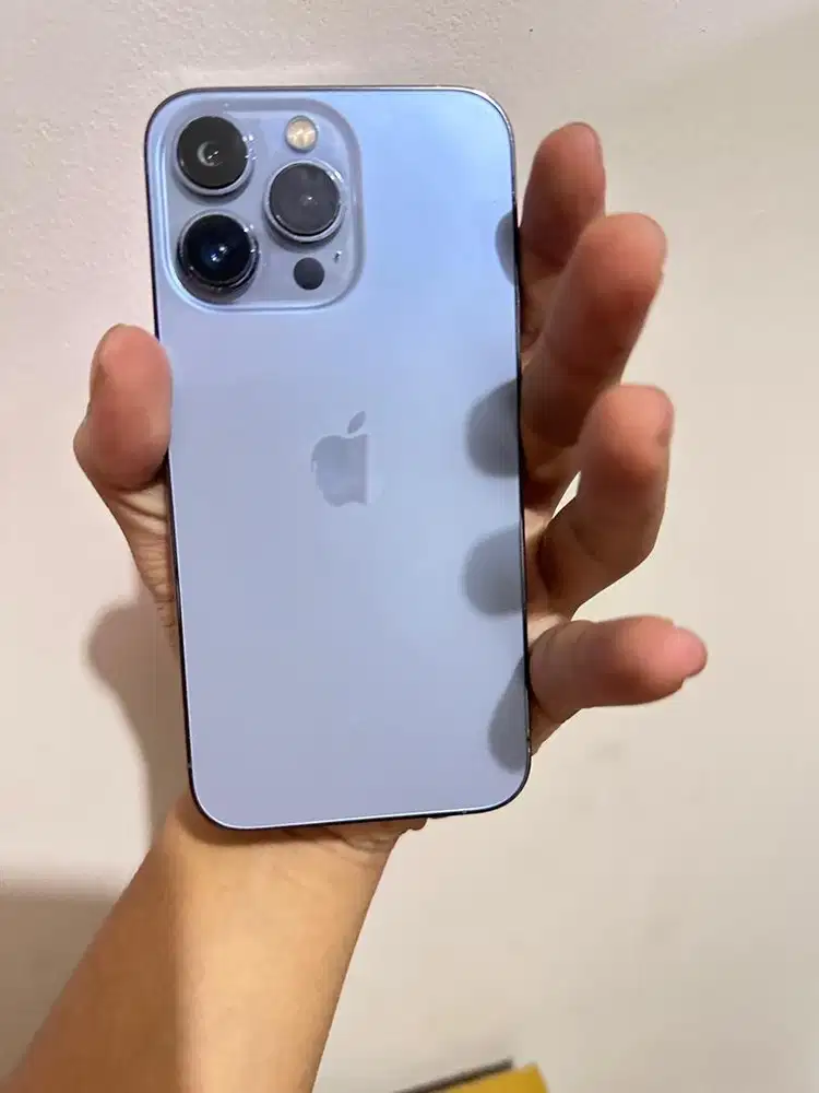 iphone 13 Pro 256 becuk