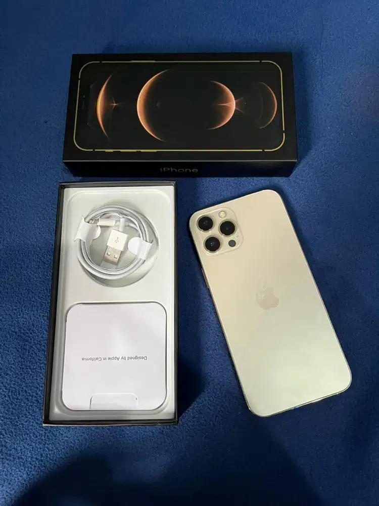 12 promax 128 GB inter